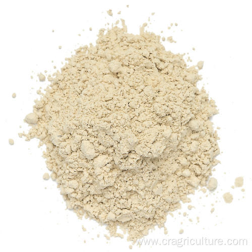 Chinese New Crop Best Garlic Powder